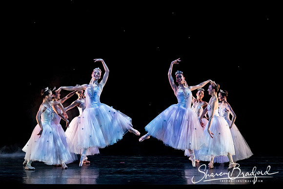 Nutcracker matinee pc Sharen Bradford-5069