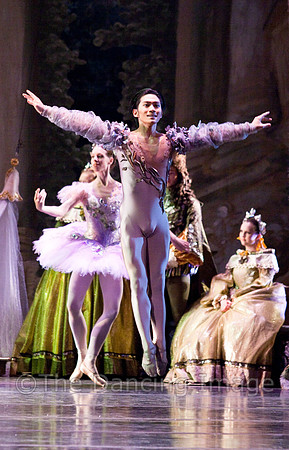 TB Sleeping Beauty Wed.-0058