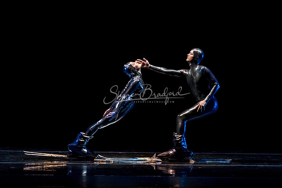 Millennium Skiva pc Sharen Bradford-8529