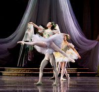 TB Sleeping Beauty Wed.-0021