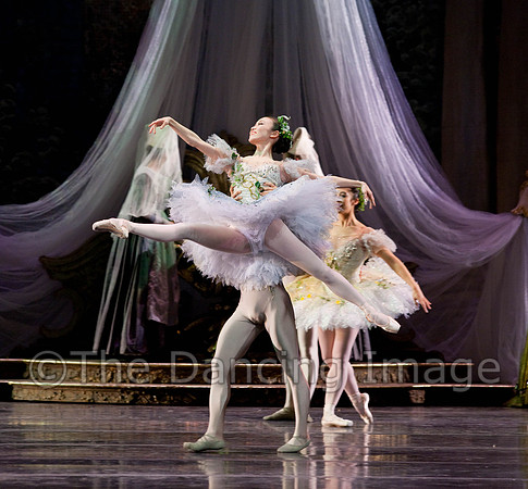 TB Sleeping Beauty Wed.-0021
