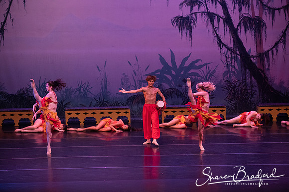 TDC La Bayadere pc Sharen Bradford-3007