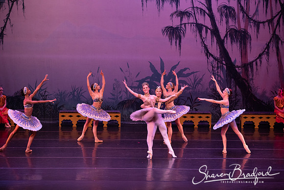 TDC La Bayadere pc Sharen Bradford-3200