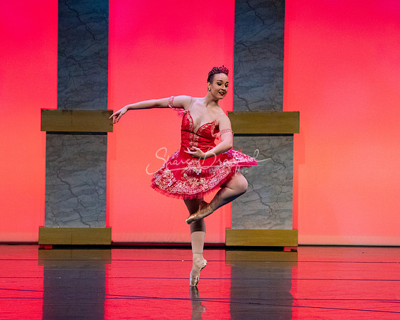 Ballet NTX Sleeping Beauty pc Sharen Bradford-0153