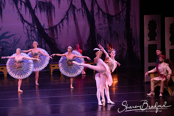 TDC La Bayadere pc Sharen Bradford-3156