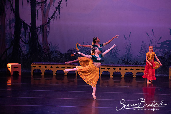 TDC La Bayadere pc Sharen Bradford-2922