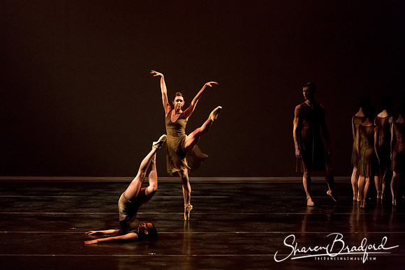 Ballet Dallas Seasons pc Sharen Bradford-1360