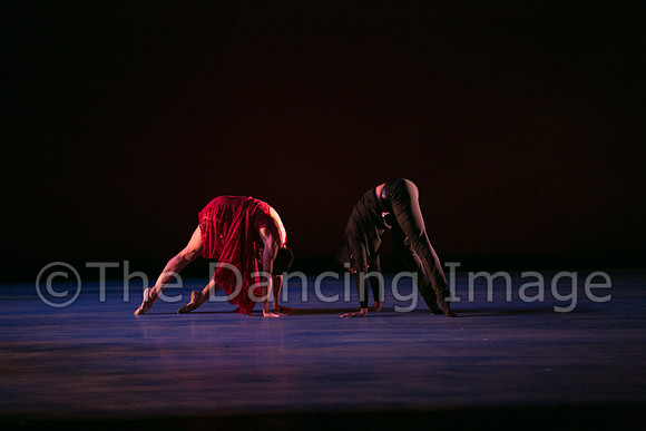 Chado Danse-2822