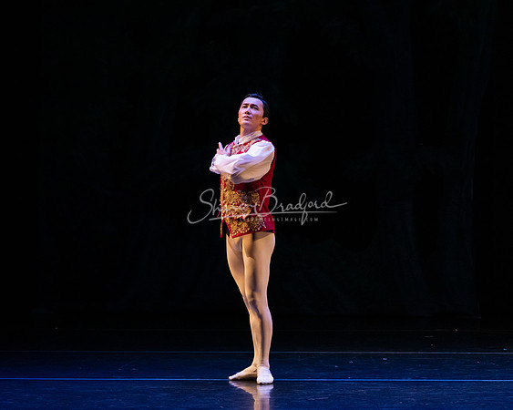 Ballet NTX Sleeping Beauty pc Sharen Bradford-1220