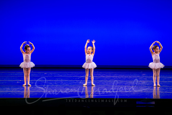 Water Lillies-0284