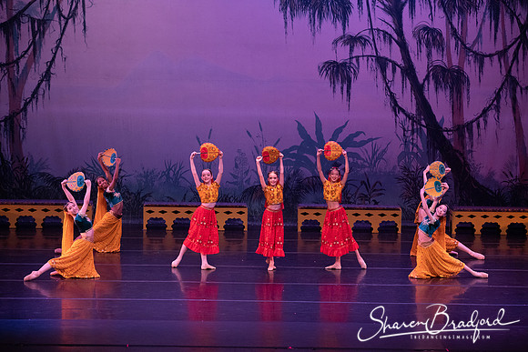 TDC La Bayadere pc Sharen Bradford-2925