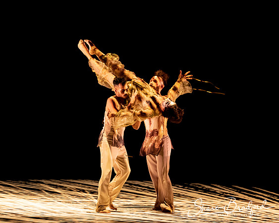Delfos Danza pc Sharen Bradford-0433