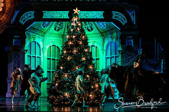 Nutcracker matinee pc Sharen Bradford-4756