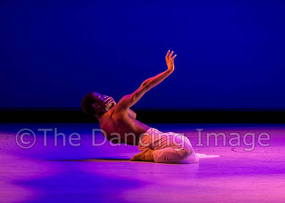 Jared Brown-4831