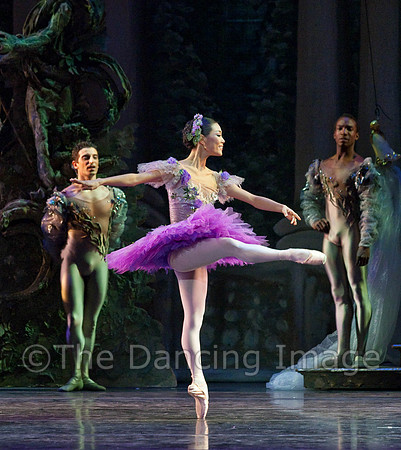 TB Sleeping Beauty Wed.-0082
