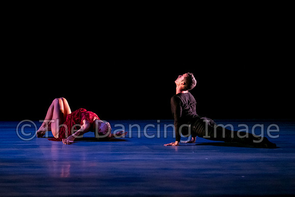 Chado Danse-2820
