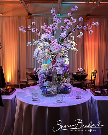 BWD Gala 2019 pc Sharen Bradford-0150