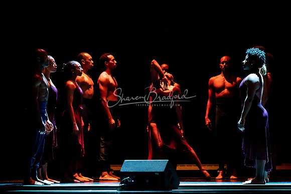 Dallas Black Dance Theatre pc Sharen Bradford-1585