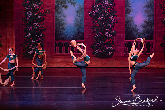TDC La Bayadere pc Sharen Bradford-2741