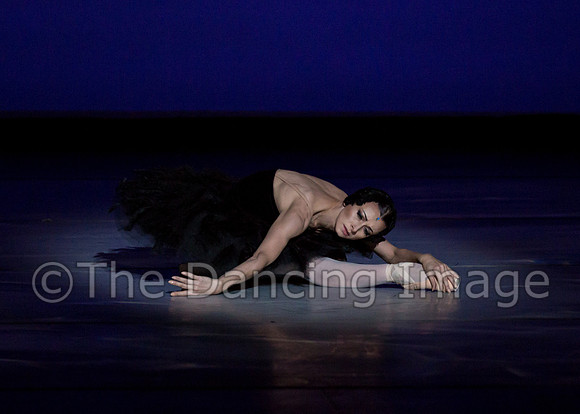 Olga Pavlova_The Dying Swan-3941