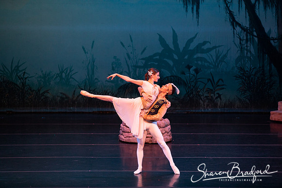 TDC La Bayadere pc Sharen Bradford-2604