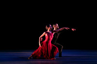 Chado Danse-2800