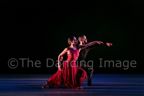 Chado Danse-2800
