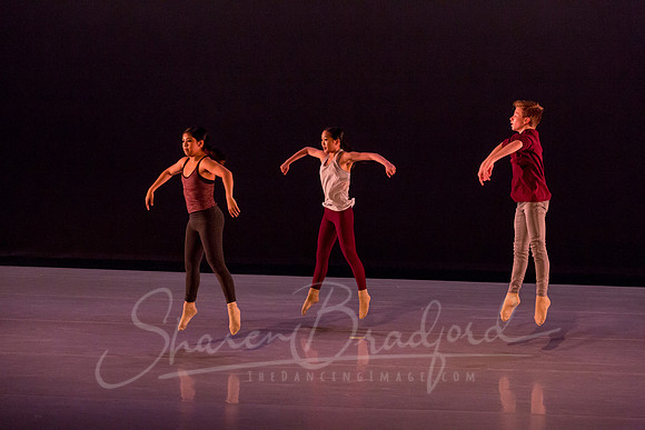 Peculiarity pc Sharen Bradford-7130