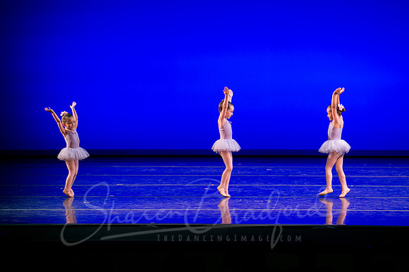 Water Lillies-0288