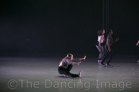 cracked pavement pc Sharen Bradford-0854