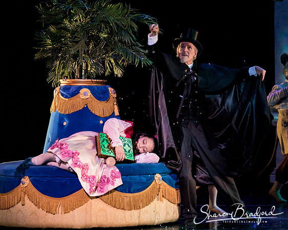 Nutcracker matinee pc Sharen Bradford-4681