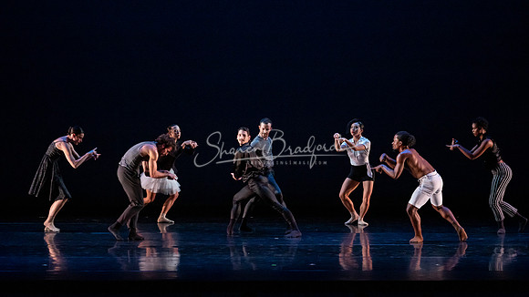 A Million Voices pc Sharen Bradford-0213