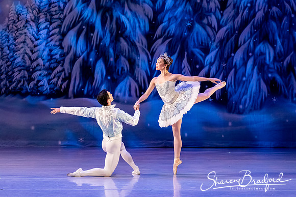CCBT Nutcracker 19 pc Sharen Bradford-4816