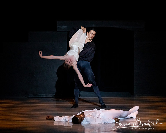 Romeo & Juliet pc Sharen Bradford-4260