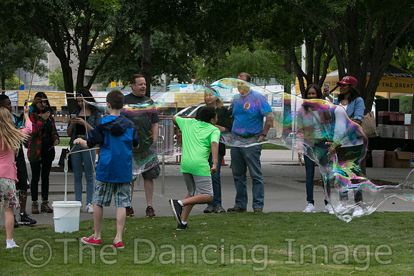 MJS_5181