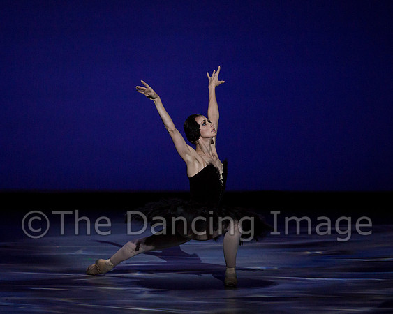 Olga Pavlova_The Dying Swan-3935