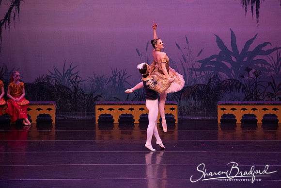 TDC La Bayadere pc Sharen Bradford-3106