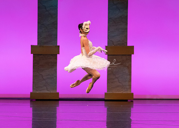Ballet NTX Sleeping Beauty pc Sharen Bradford-1745