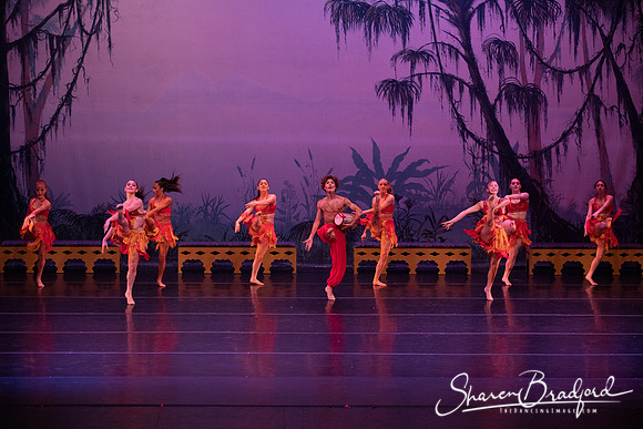 TDC La Bayadere pc Sharen Bradford-3047