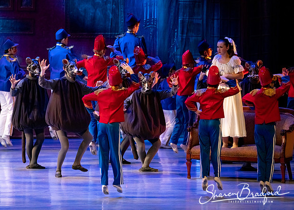 CCBT Nutcracker 19 pc Sharen Bradford-4430