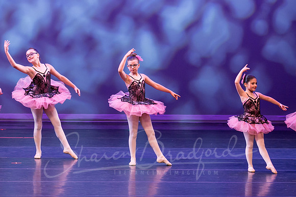 Flower Variation-0973