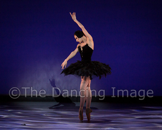 Olga Pavlova_The Dying Swan-3877