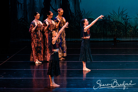 TDC La Bayadere pc Sharen Bradford-2412