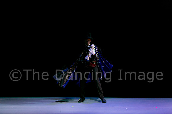Nutcracker Sat-2694