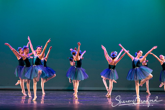 Khachaturian Waltz pc Sharen Bradford-3667