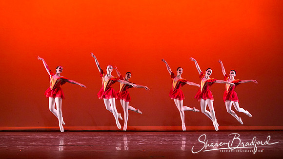 Mozart pc Sharen Bradford-3948