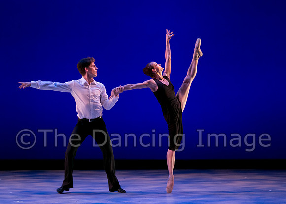 Avant Chamber Ballet DDF-3241