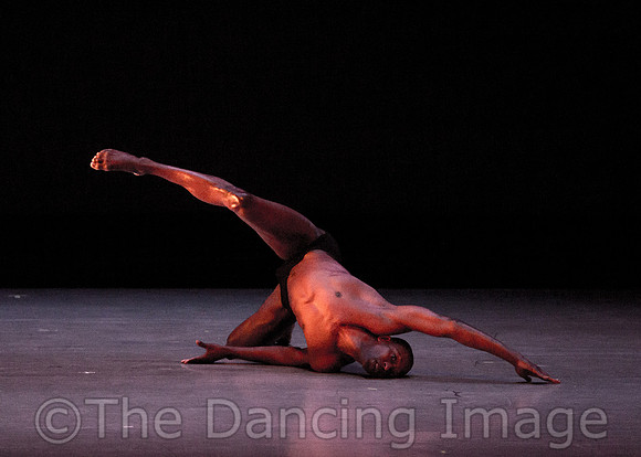 Alvin Ailey ADT-2232
