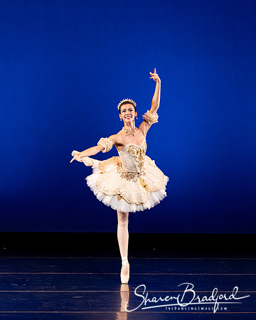 Texas Ballet Theater pc Sharen Bradford-1314