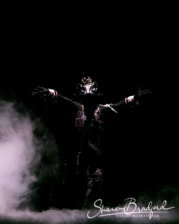 Nutcracker matinee pc Sharen Bradford-5819
